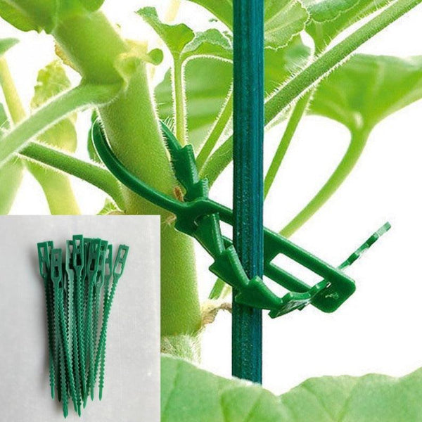 13CM Multi Purpose Fishbone Garden Tie Green Garden Tie Gardening Tie Various Quantity Packaging - Amazitshop