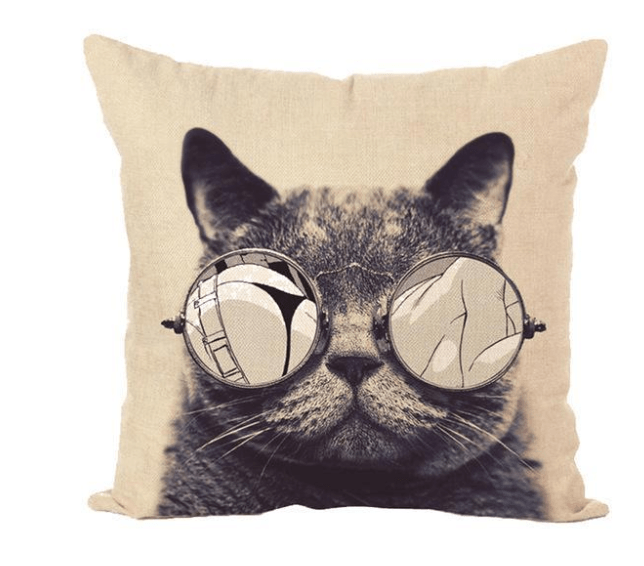 ADORABLE CAT PILLOW COVERS - Amazitshop
