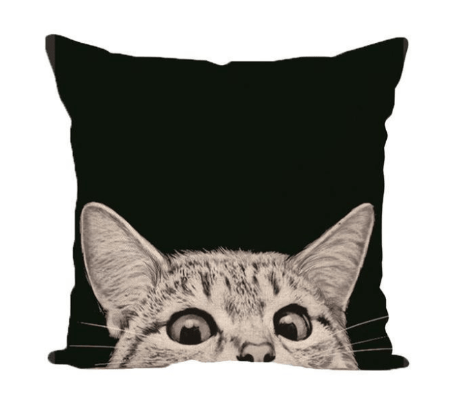 ADORABLE CAT PILLOW COVERS - Amazitshop