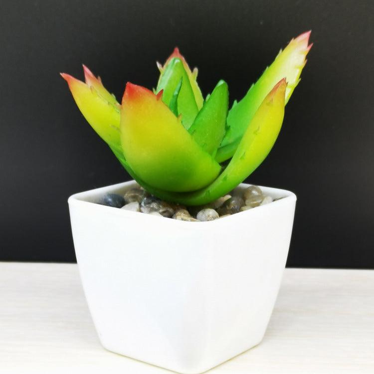 Artificial Succulent Plastic Plant Mini Potted Desktop Decoration - Amazitshop