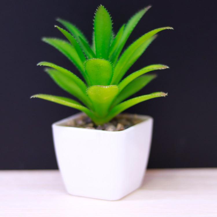 Artificial Succulent Plastic Plant Mini Potted Desktop Decoration - Amazitshop