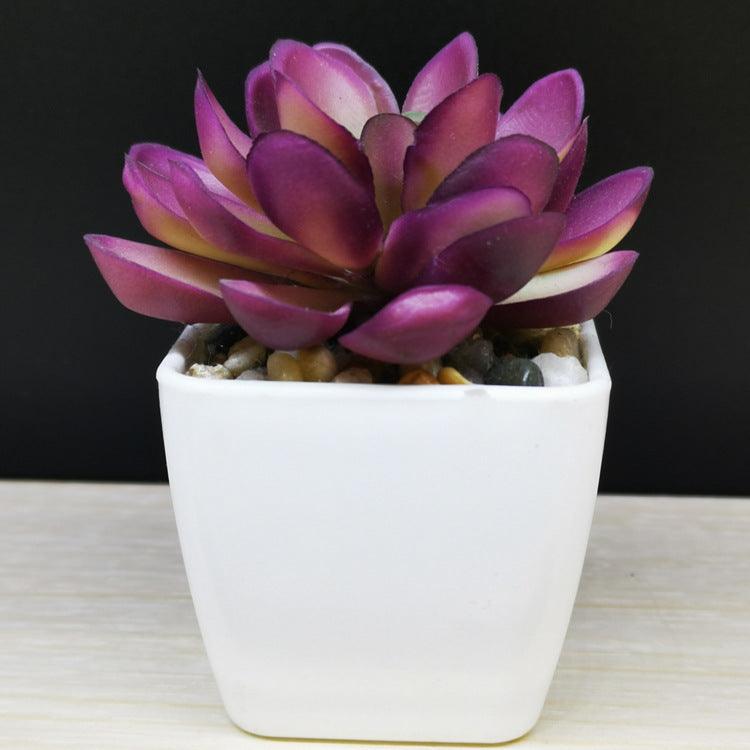 Artificial Succulent Plastic Plant Mini Potted Desktop Decoration - Amazitshop