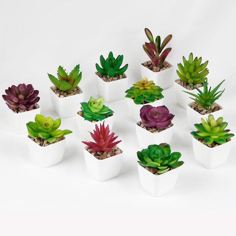 Artificial Succulent Plastic Plant Mini Potted Desktop Decoration - Amazitshop