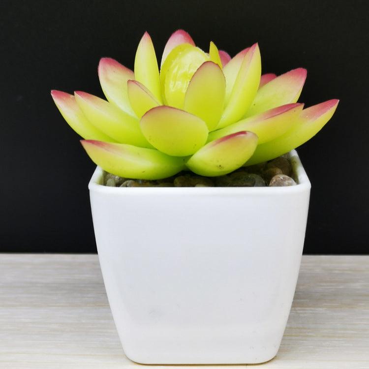 Artificial Succulent Plastic Plant Mini Potted Desktop Decoration - Amazitshop