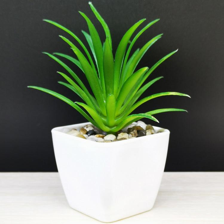 Artificial Succulent Plastic Plant Mini Potted Desktop Decoration - Amazitshop