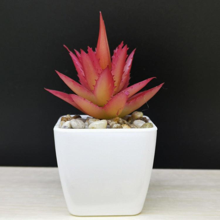Artificial Succulent Plastic Plant Mini Potted Desktop Decoration - Amazitshop