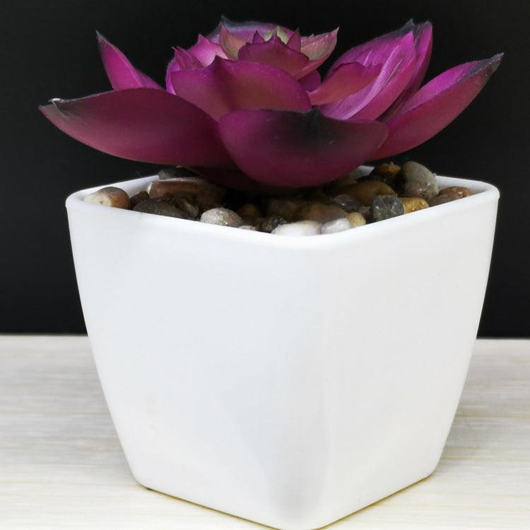 Artificial Succulent Plastic Plant Mini Potted Desktop Decoration - Amazitshop