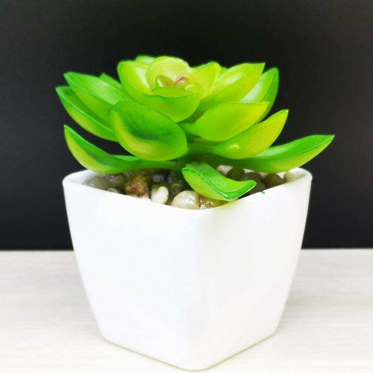 Artificial Succulent Plastic Plant Mini Potted Desktop Decoration - Amazitshop