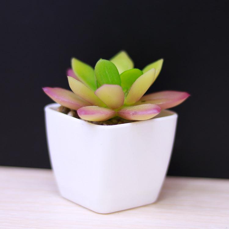 Artificial Succulent Plastic Plant Mini Potted Desktop Decoration - Amazitshop
