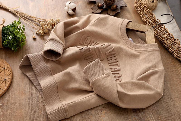 Boys Long Sleeve Pullover Crew Neck - Amazitshop