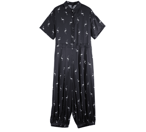 Chiffon jumpsuit - Amazitshop