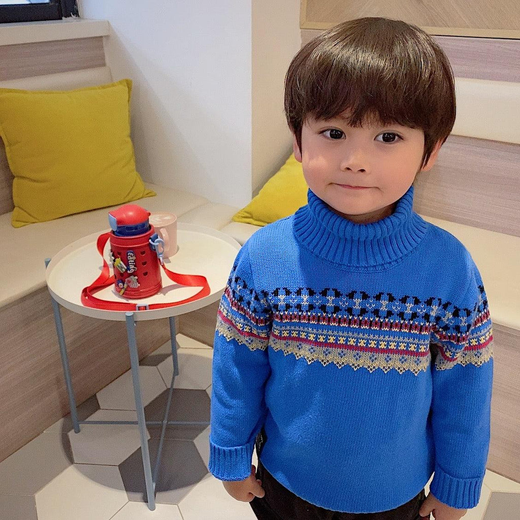 Cool Turtle Neck Blue Sweater for Toddler Boys - Amazitshop