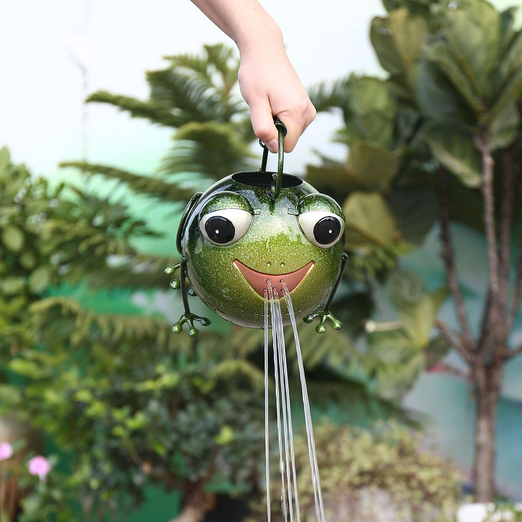 Creative Cartoon Iron Frog Watering Pot Creative Home Decoration - Amazitshop