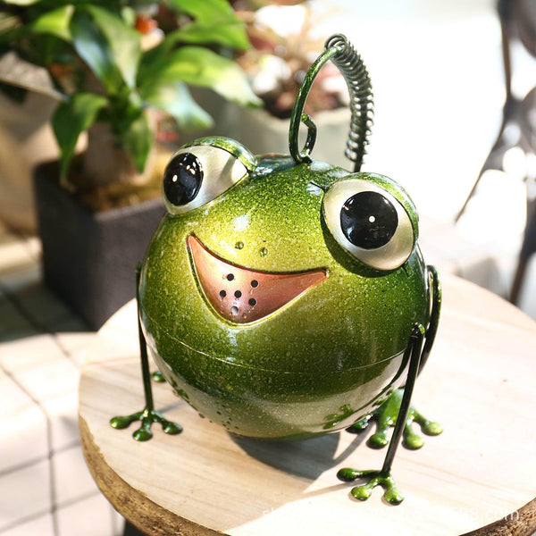 Creative Cartoon Iron Frog Watering Pot Creative Home Decoration - Amazitshop