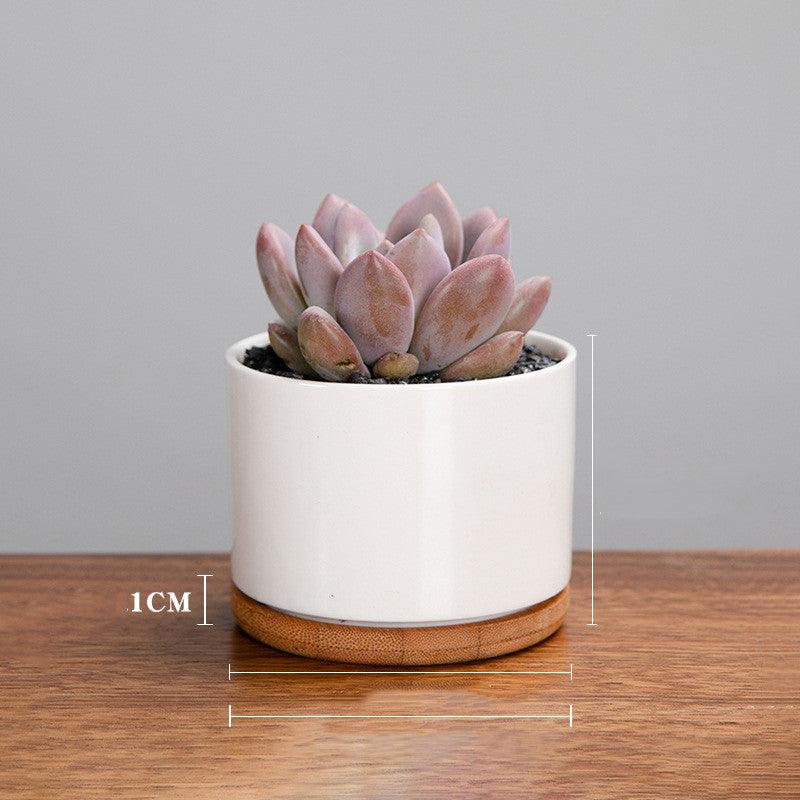 Creative Mini Desktop Short Straight Round Combination Succulent Flower Pot - Amazitshop