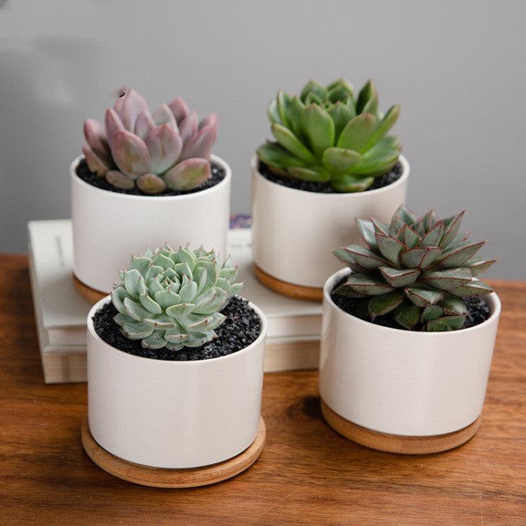 Creative Mini Desktop Short Straight Round Combination Succulent Flower Pot - Amazitshop