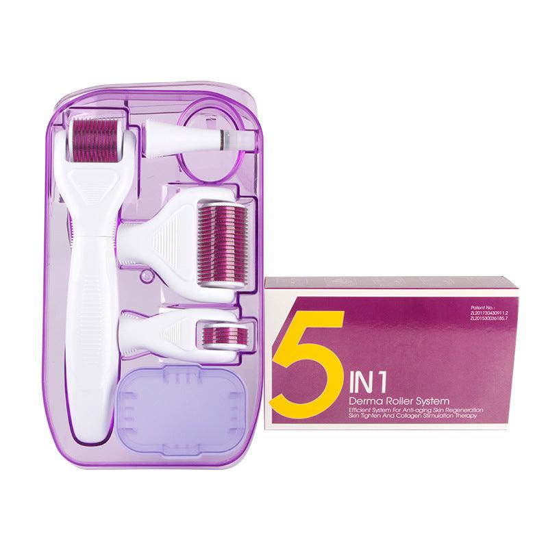DermaKit™ 6 - in - 1 Derma Roller Kit Facial Microneedling Set Facial Skin Care Tools Gift Set - Amazitshop
