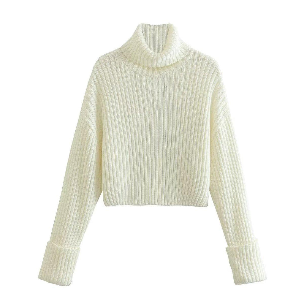 European And American Style Women's Ribbed Turtleneck Sweater Women - Amazitshop