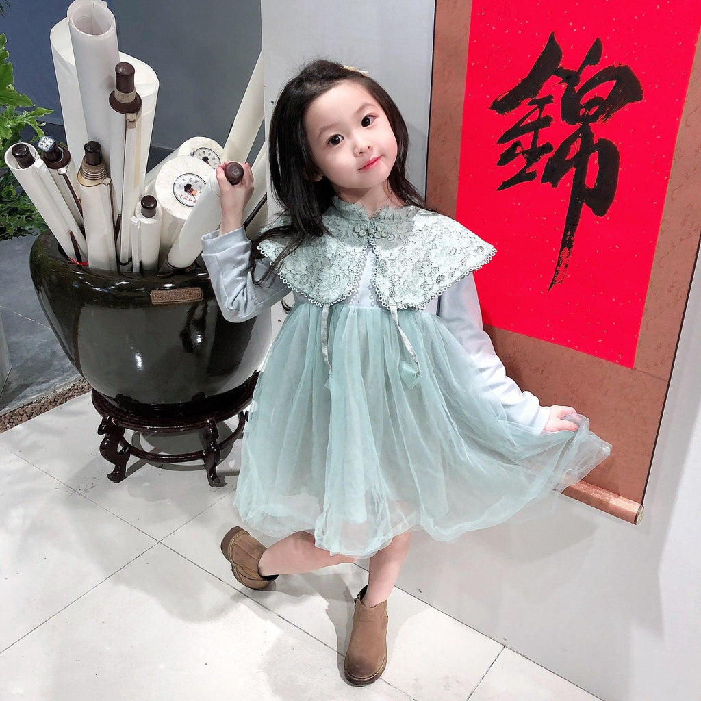 Girls' Dresses New Children'S Skirts Super Western Princess Dresses Star Fluffy Mesh Skirts - Amazitshop