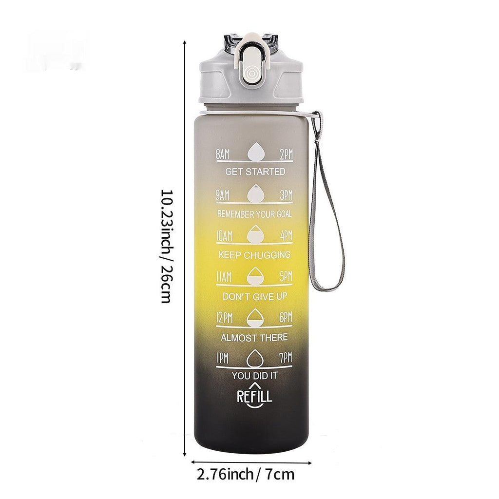 Gradient Plastic Frosted With Scaled Cup - Amazitshop