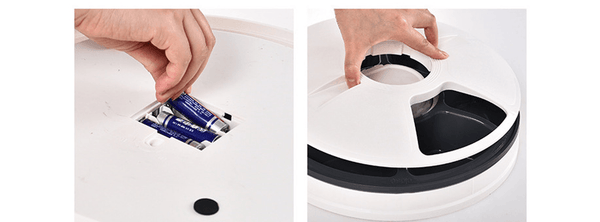 Intelligent Timed Pet Feeder - Amazitshop