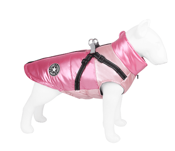 New Pet Clothing - Amazitshop
