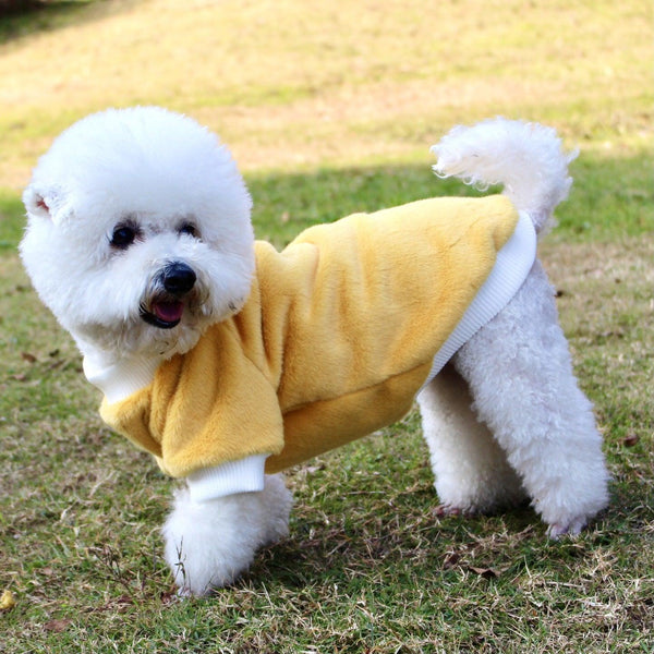 Pet Clothing Warm In Autumn And Winter Casual Dog Cat Clothing Mink Fur Thickened - Amazitshop