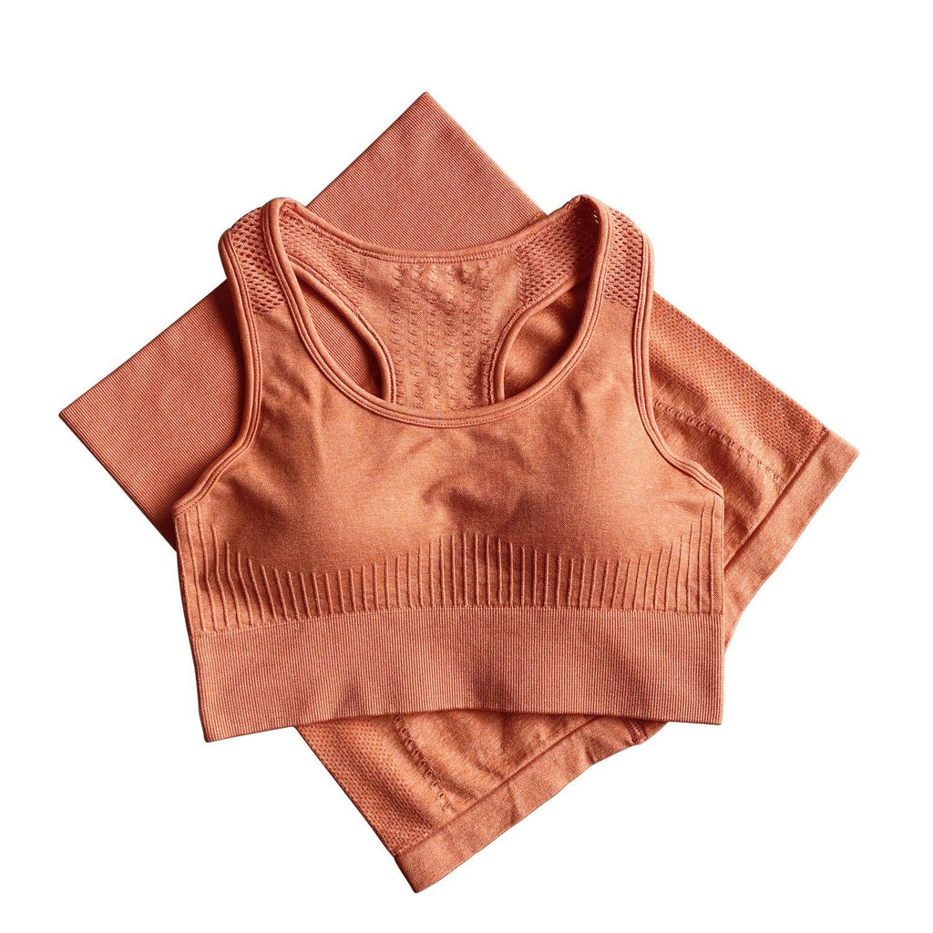 Seamless Women Activewear Sports Fitness Gym Yoga Bra Biker Shorts Sets 2 Piece Women Short Set - Amazitshop