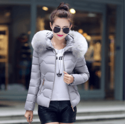 Short Jacket New Style Down Padded Jacket Short Women Winter Padded Jacket - Amazitshop