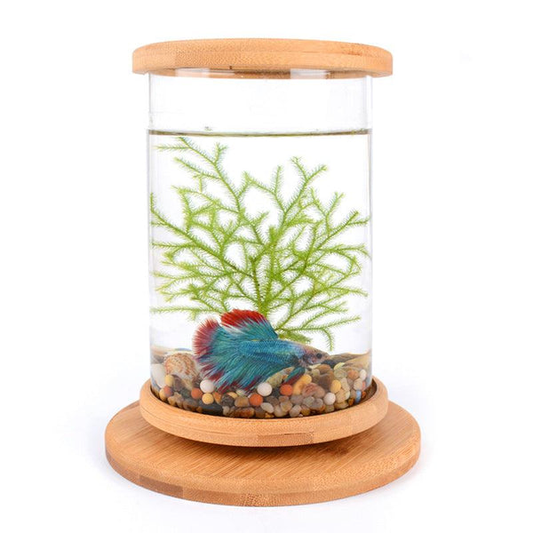 Small Office Glass Aquarium Bamboo Base Mini Fish Tank Decoration Fish Bowl - Amazitshop