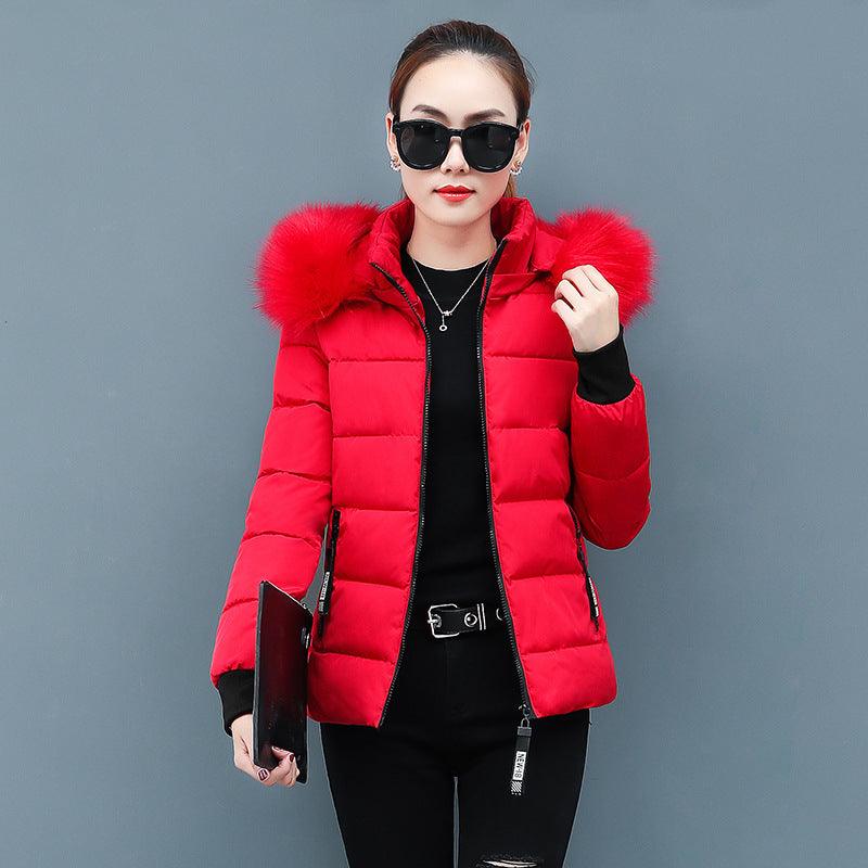 Winter padded jacket students short down padded jacket - Amazitshop
