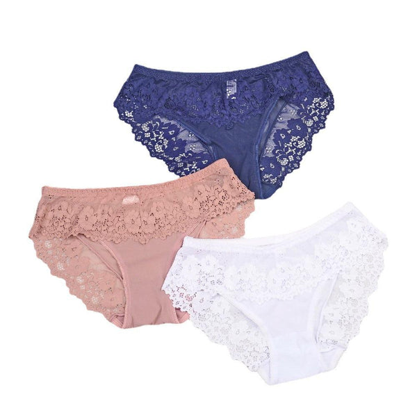 Women's Lace Nylon Underwear Plus Size Breathable And Transparent Mesh - Amazitshop