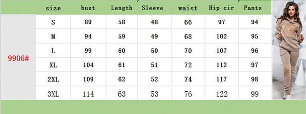 Women's Sets Warm clothes in winter plus sieze Sweatshirts - Amazitshop