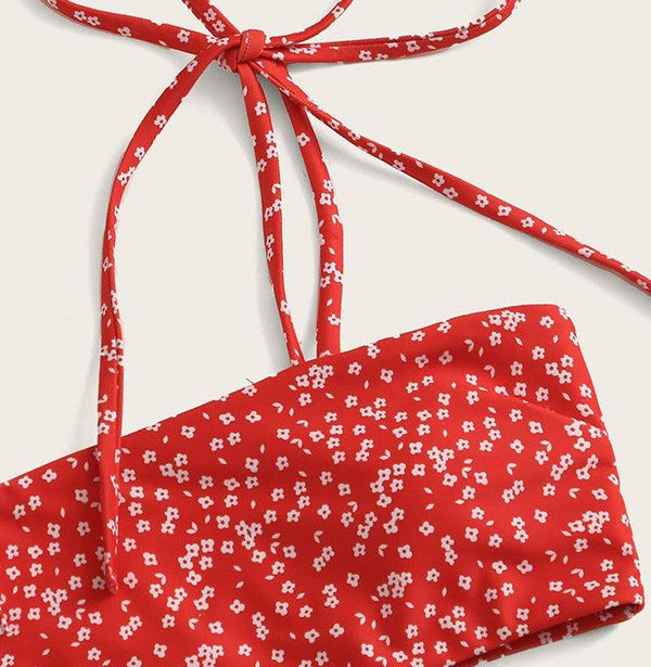 Women's two - piece bikini - Amazitshop