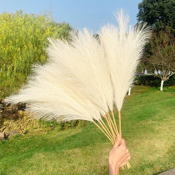Artificial Pampas Grass Simulation Flower Plant Home Decoration - Amazitshop