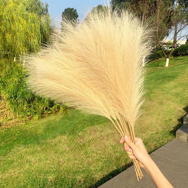 Artificial Pampas Grass Simulation Flower Plant Home Decoration - Amazitshop