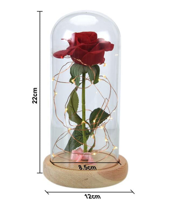 Enchanted Forever Rose Flower In Glass LED Light Christmas Decoration - Amazitshop