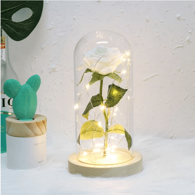 Enchanted Forever Rose Flower In Glass LED Light Christmas Decoration - Amazitshop
