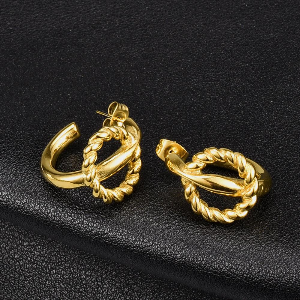 Twist Double Wire Titanium Earrings - Amazitshop